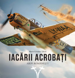 Iacarii acrobati | Maria Cristina Tilica, Curtea Veche Publishing
