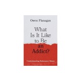 What Is It Like to Be an Addict?: Understanding Substance Abuse