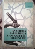 Anatomia Patologica a Animalelor Domestice - Viorel Ciurea