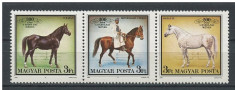 Ungaria, cai, 1989, MNH foto