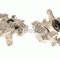 Etrier frana MERCEDES C-CLASS (W203) (2000 - 2007) BOSCH 0 986 473 282