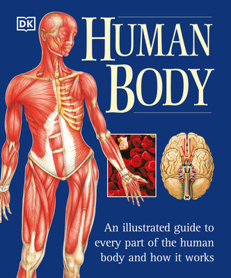 The Human Body foto