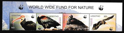 Lesotho - Fauna WWF - PASARI - IBISI - MNH foto