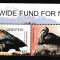 Lesotho - Fauna WWF - PASARI - IBISI - MNH