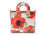Poseta ALDO multicolor, REDROSES 932, din piele ecologica