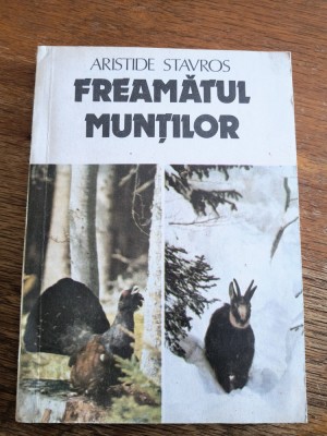 Freamatul muntilor - Aristide Stavros / R8P4S foto
