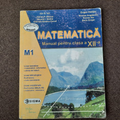 MATEMATICA MANUAL PENTRU CLASA A XII A ION D ION