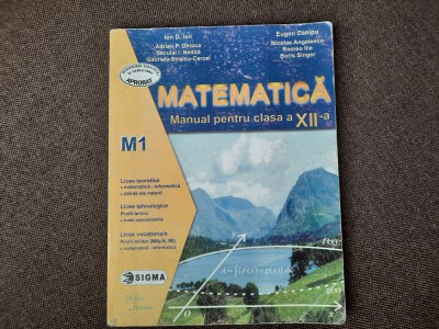 MATEMATICA MANUAL PENTRU CLASA A XII A ION D ION foto