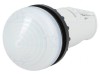 Lumină de control albă 22mm IP67 RMQ-Titan
