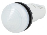 Lumină de control albă 22mm IP67 RMQ-Titan