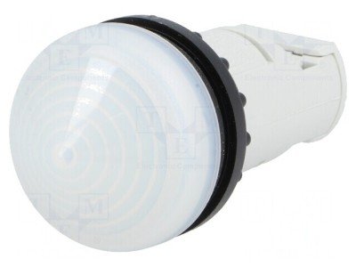 Lumină de control albă 22mm IP67 RMQ-Titan foto