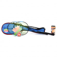 Palete Badminton Si Fluturas 2494