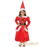 Costum Craciunita