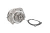 Pompa apa FIAT PUNTO (176) (1993 - 1999) THERMOTEC D1F020TT