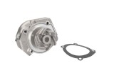 Pompa apa FIAT PANDA (141A) (1980 - 2004) THERMOTEC D1F020TT