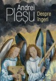 Cumpara ieftin Despre ingeri/Andrei Plesu, Humanitas