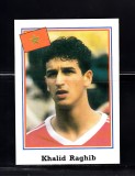 B10 - Sticker fotbal - Campionatul mondial USA - 1994 - nr 386
