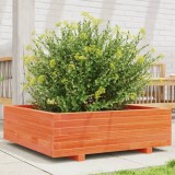 vidaXL Jardinieră grădină, maro ceruit, 80x80x26,5 cm, lemn masiv pin