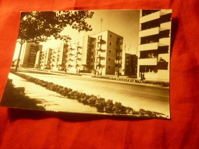 Ilustrata Oradea - Cartier 23 August , inceputul anilor &amp;#039;60 foto