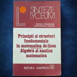 PRINCIPII SI STRUCTURI FUNDAMENTALE IN MATEMATICA DE LICEU - RODICA TRANDAFIR