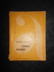 GEORGES SIMENON - CAINELE GALBEN foto