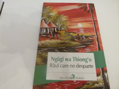 Raul care ne desparte - Ngugi wa Thiong o foto