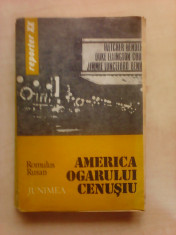 America ogarului cenusiu - ROMULUS RUSAN foto