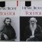 TOLSTOI , VOLUMELE I - II de HENRI TROYAT , 2023