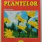 PUTEREA PLANTELOR de EUGEN GIURGIU , INTEGRAME , JOCURI , SUDOKU , 2005