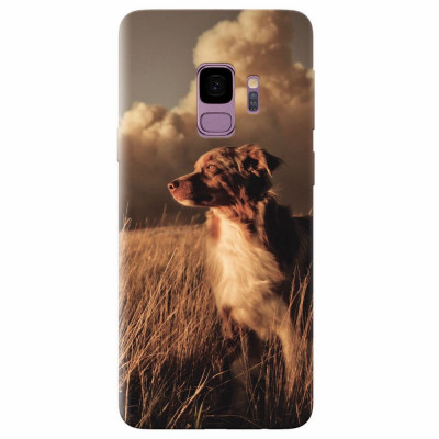 Husa silicon pentru Samsung S9, Alone Dog Animal In Grass foto