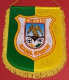 Fanion fotbal-CS MIOVENI (semnaturi originale ale jucatorilor sezonul 2019-2020)
