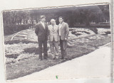 Bnk foto Slanic Moldova - 1977, Alb-Negru, Romania de la 1950, Natura