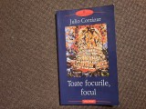 JULIO CORTAZAR TOATE FOCURILE,FOCUL 26/4