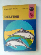 Delfinii - MODEST GUTU foto