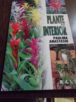 Paulina Anastasiu - Plante de interior foto