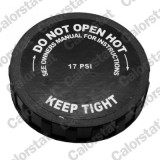 CALORSTAT by Vernet RC0151 buson vas expansiune