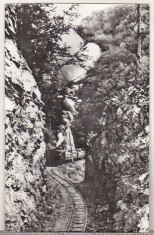 bnk cp Drum forestier in masivul Capra - Vedere - circulata foto