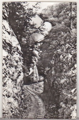bnk cp Drum forestier in masivul Capra - Vedere - circulata foto
