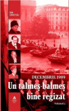 Decembrie 1989. Un talmes-balmes bine regizat - Volumul 2 | Ion Cristoiu