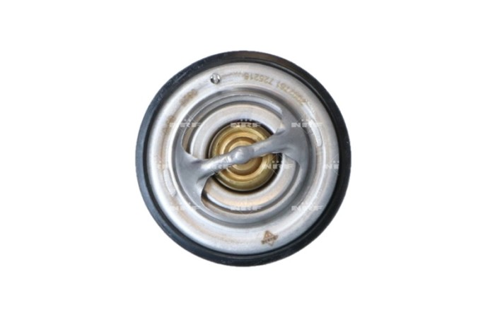 NRF 725216 EASY FIT termostat,lichid racire