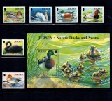 Jersey 2004 - Păsări de apa, serie si colita neuzata