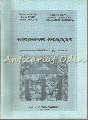 Fundamente Pedagogice Pentru Invatamantul Tehnic Si Profesional foto