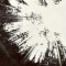 Back Country