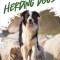 Herding Dogs