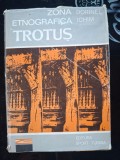 Zona etnografica Trotus- Dorinel Ichim