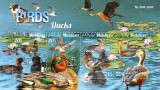 MALDIVE 2015 - Pasari de apa /set complet MNH - bloc+colita ( 2 imagini), Nestampilat