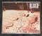 CD Korn - Korn 1994 - 2