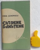 Catrene banatene Virgiliu Schiopescu