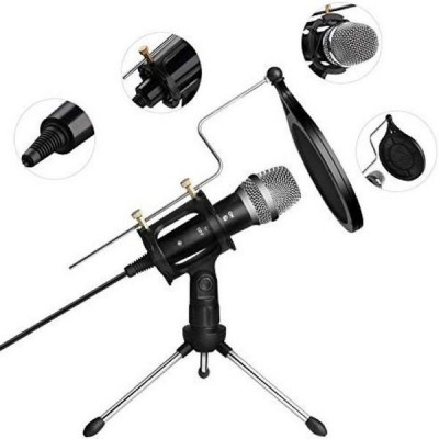Microfon profesional de Studio cu condensator si mini trepied, WG-500II foto