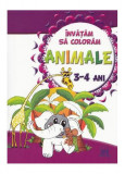 &Icirc;nvătăm să colorăm: Animale - Paperback brosat - *** - Didactica Publishing House